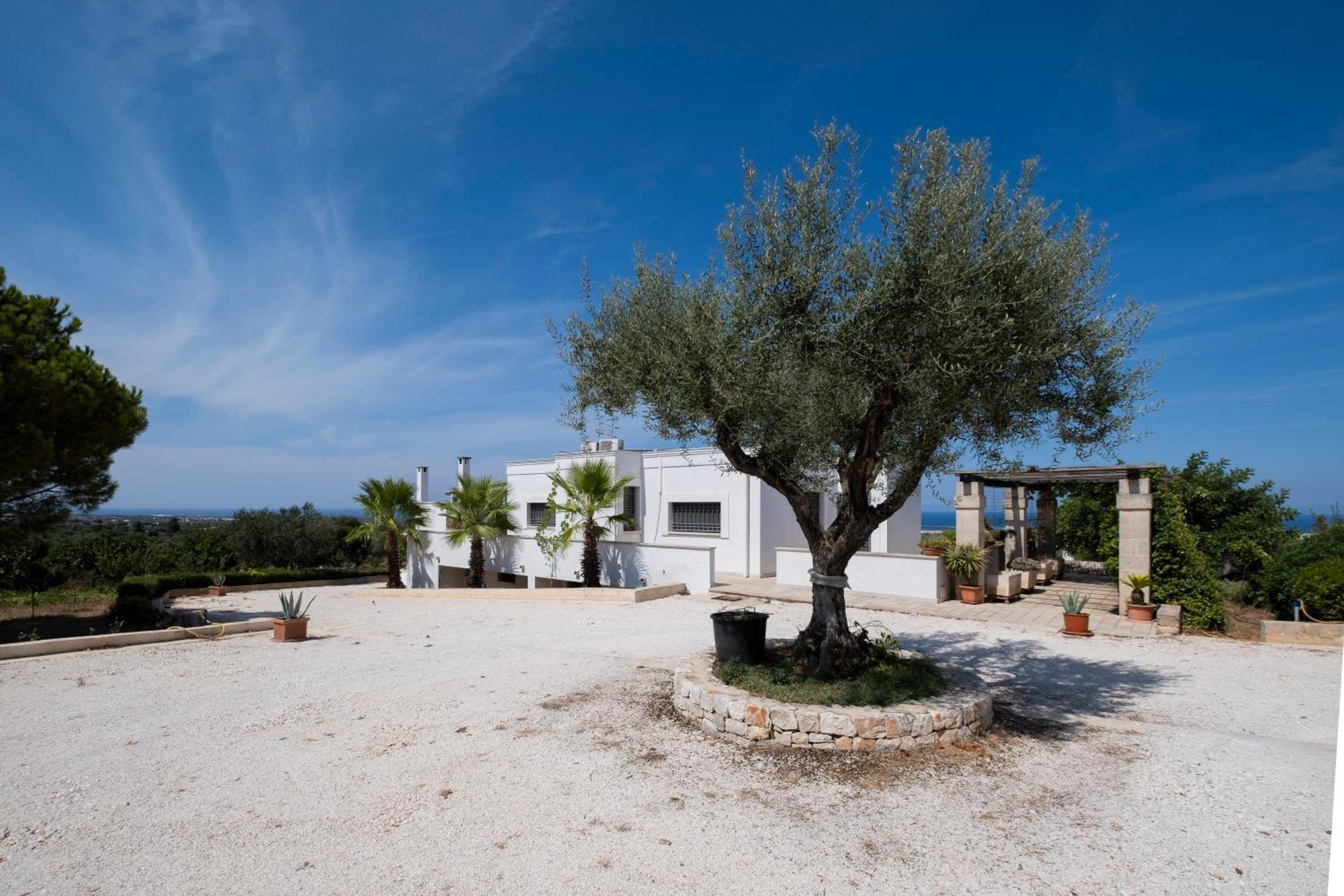 Il Carrubo Villa Polignano a Mare Eksteriør bilde