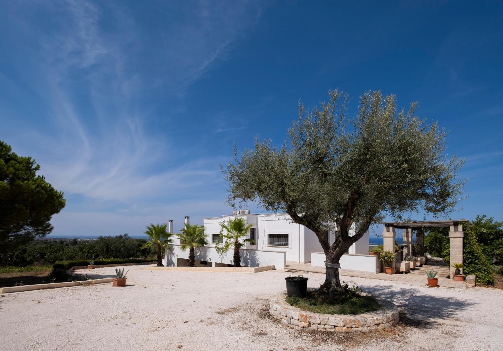Il Carrubo Villa Polignano a Mare Eksteriør bilde