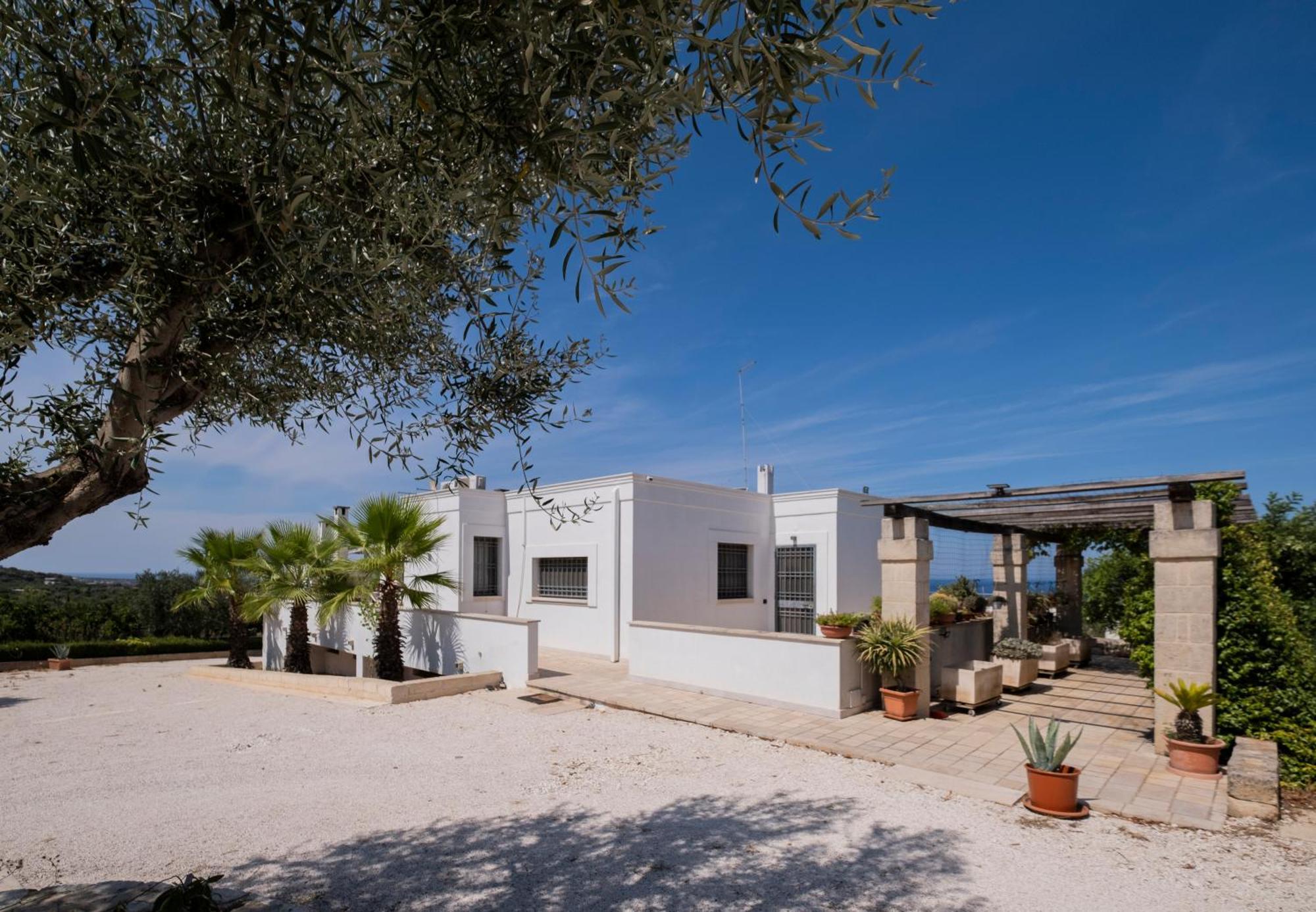 Il Carrubo Villa Polignano a Mare Eksteriør bilde